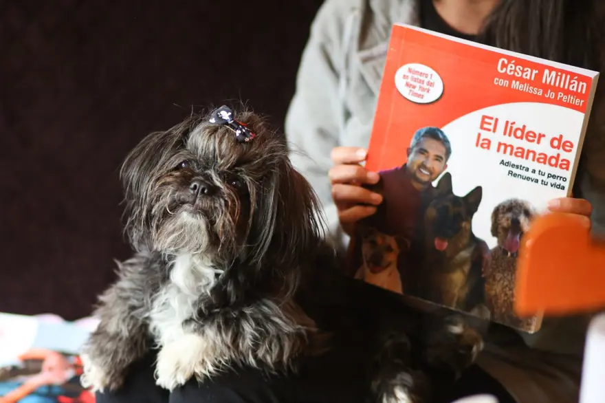 Dünyanın ilk köpek restoranı Bolivya'da açıldı 8