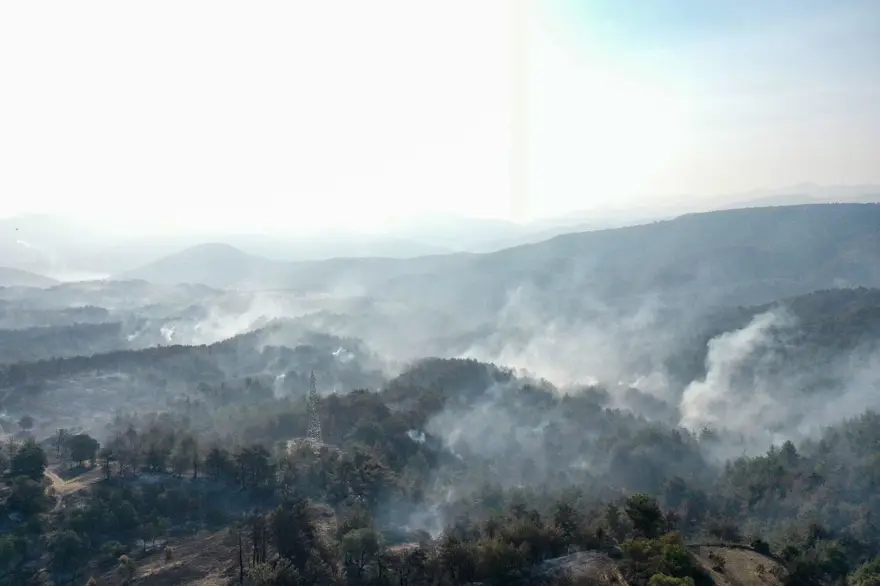 Çanakkale'de orman yangını kontrol altında 33