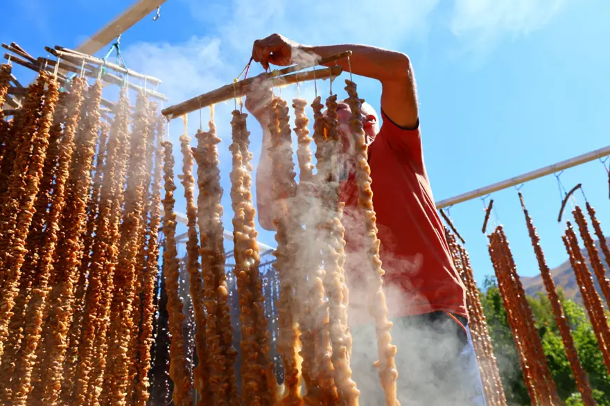 Orcik mesaisi başladı: Özel toprakla mayalanıyor 