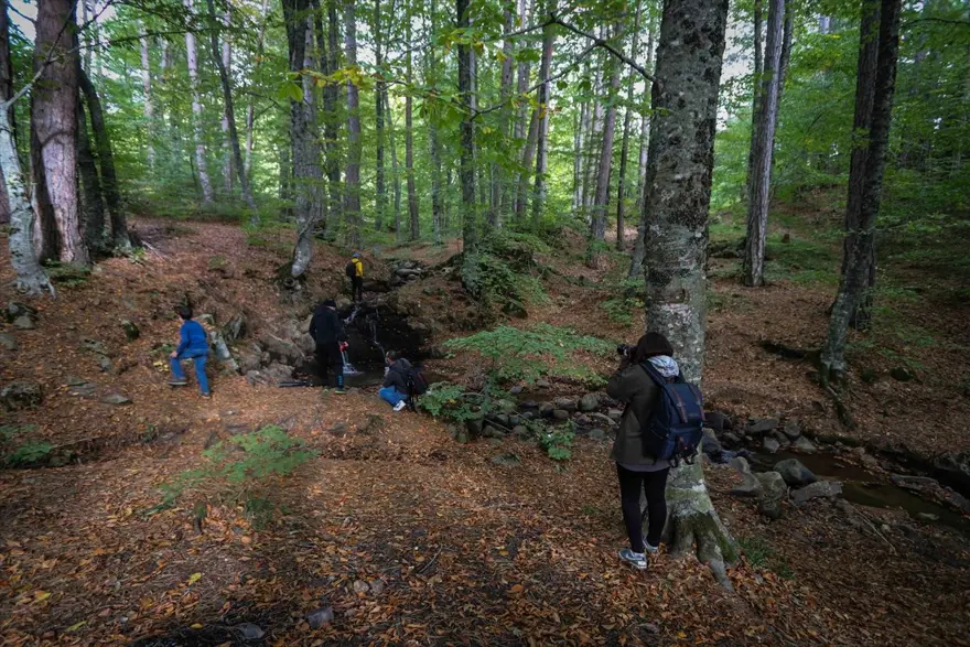 Doğa ve fotoğraf tutkunları, sonbahar renklerine bürünen Domaniç'te buluştu 13