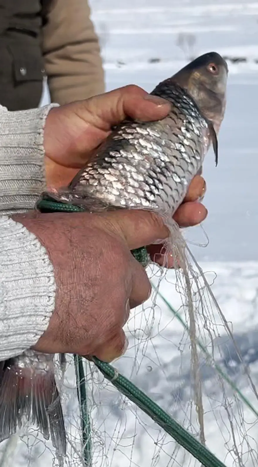 Çıldır Gölünde Eskimo usulü balık avlıyorlar 8