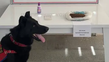 Muş'ta uyuşturucu operasyonu: 2 gözaltı