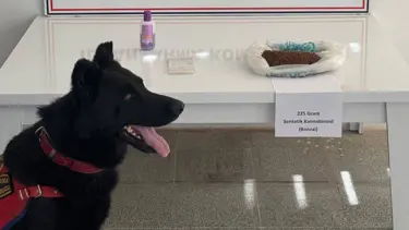 Muş'ta uyuşturucu operasyonu: 2 gözaltı