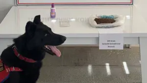 Muş'ta uyuşturucu operasyonu: 2 gözaltı