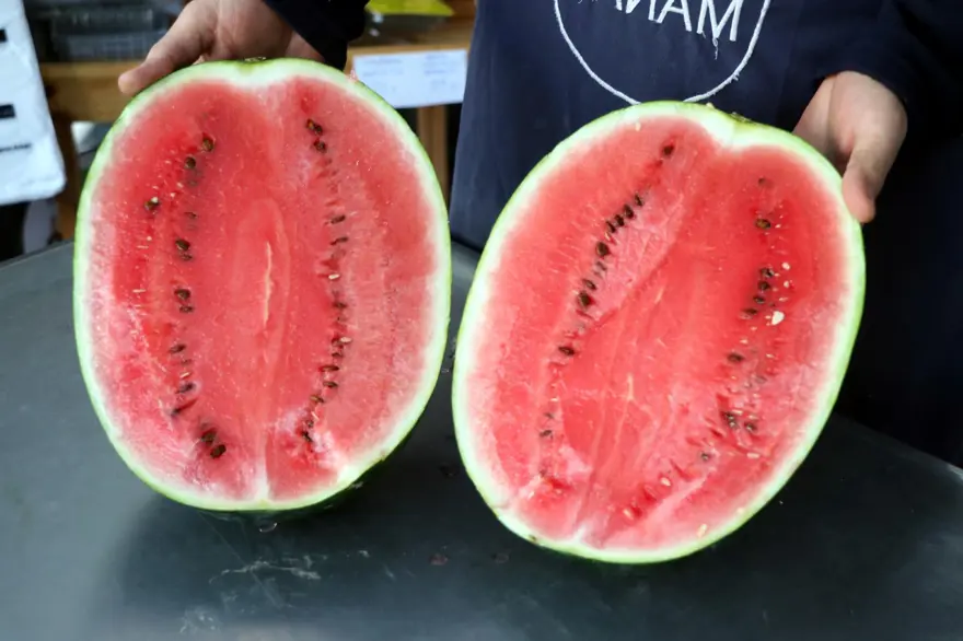 Kilosu 3 bin tanesi 53 lira | Yaz meyvesi kışın el yakıyor 11