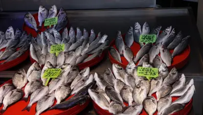 Balık avı başladı, istavritin fiyatı yarıya düştü