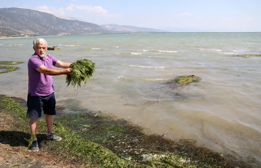 Eğirdir Gölü'nde korkutan görüntü: Battaniye gibi kapladı, çok tehlikeli! 3