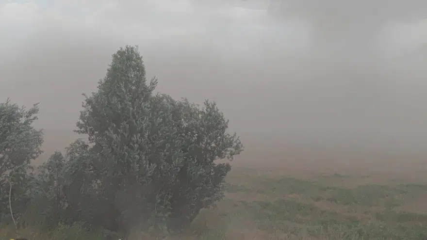 Bitlis'te hayat durma noktasına geldi 2