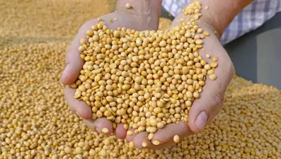 Uzman doktor açıkladı: 2 kronik hastalığı önleyen yiyecek