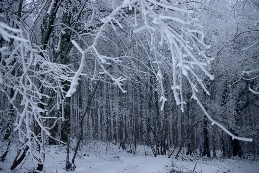 İstanbul'da kar kapıya dayandı! Trakya'da kar yağışı etkili oluyor 2