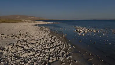 Van Gölü'nde endişelendiren görüntü