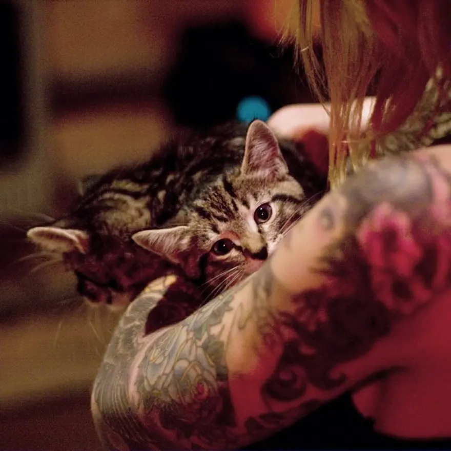 Hayatını kedileri kurtarmaya adadı 4