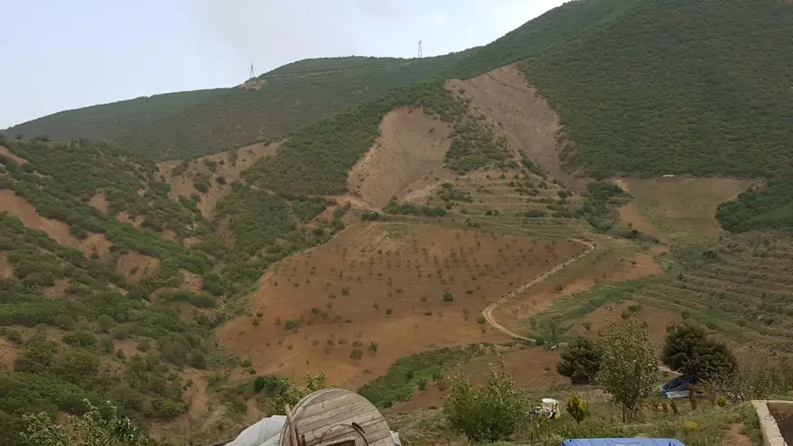 "Kurtlar Vadisi"ni ceviz fidanlarıyla yeşil vadiye dönüştürdü 2