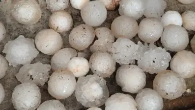 Şanlıurfa'da kar topu büyüklüğünde dolu yağdı