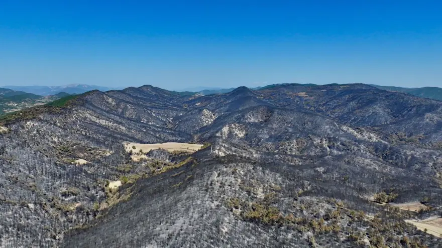 Alevlertüm köyü sardı, köylüler asırlık ağacı korumak için seferber oldu 1