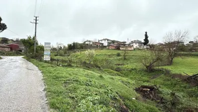 Çanakkale'de şap alarmı: İki ilçede karantina