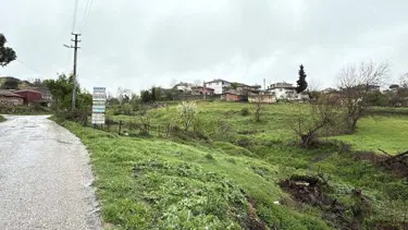 Çanakkale'de şap alarmı: İki ilçede karantina