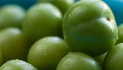 Rüyada erik görmek ne anlama gelir? Rüyada erik toplamak ve yemek ne anlama gelir?