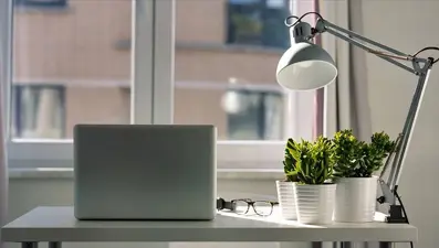 Pandemi çalışma hayatını nasıl etkiledi?