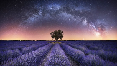 Samanyolu'nun aydınlattığı lavanta tarlalarından kuzey ışıklarına: Yılın Astronomi Fotoğrafçısı 2021'in adayları açıklandı