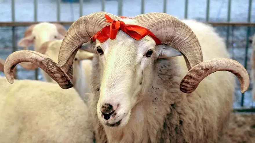 BAYRAM TATİLİ YAPACAKLARA UYARI 4