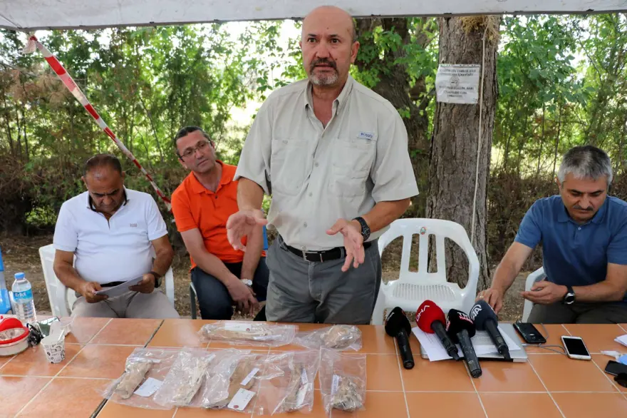 Kayseri'de 4 bin yıl öncesine ait aslan kemiği bulundu 5