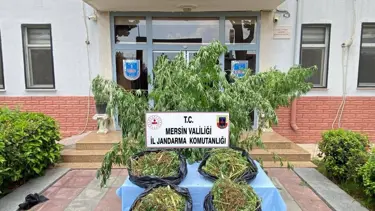 Mersin’de uyuşturucu operasyonu