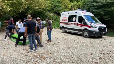 Ziyaretçilerin üzerlerine ağaç devrildi: 2 ölü