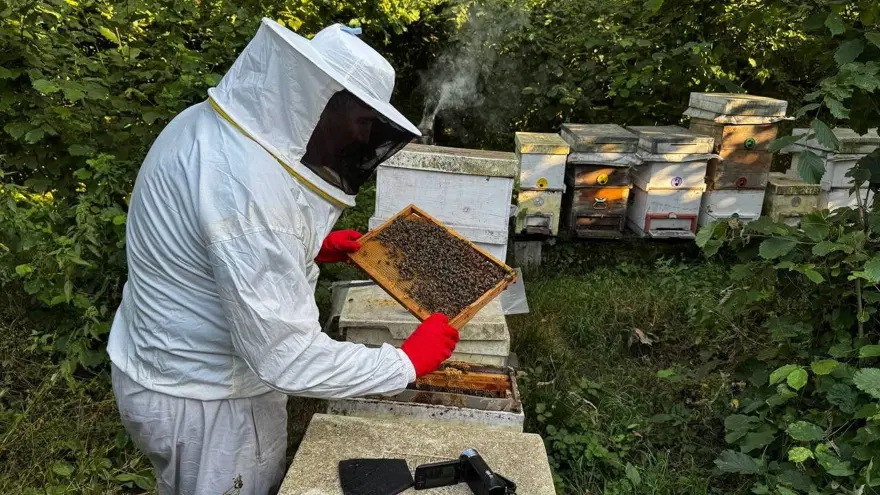 Dedesinin nasihatiyle başladı, geçim kaynağı oldu: 1 ton üretmeyi hedefliyor 5