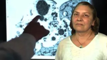 Kanseri yendi, meme estetiğiyle hayatı kabusa döndü