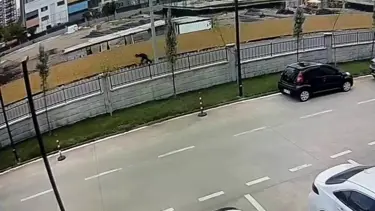 Polisten kaçmak isterken 12 metre yükseklikten düştü