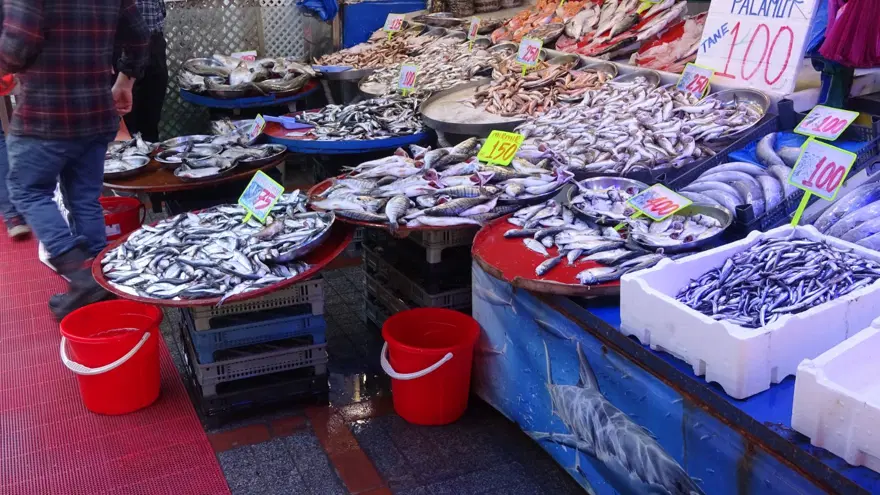 Bolluk azaldı ama tezgahta çeşitlilik sürüyor: Deniz suyu sıcaklığı etkiledi 2