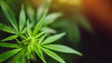 Kira gelmeyince fark etti, Google yorumlarını okuyunca gerçeği öğrendi: Kiralık ev skandalı