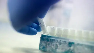 "Tıbbi felaket": 85 sperm donörü binlerce çocuğa baba olmuş