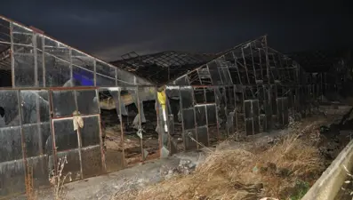 Antalya'yı hortum vurdu: Çatılar uçtu, seralar yıkıldı