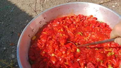 Kış mevsimi gelmeden kırsal kesimlerde salça yapımı başladı