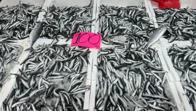 Fiyatı 100 liraya kadar düştü: Bolluk olunca ilgi arttı