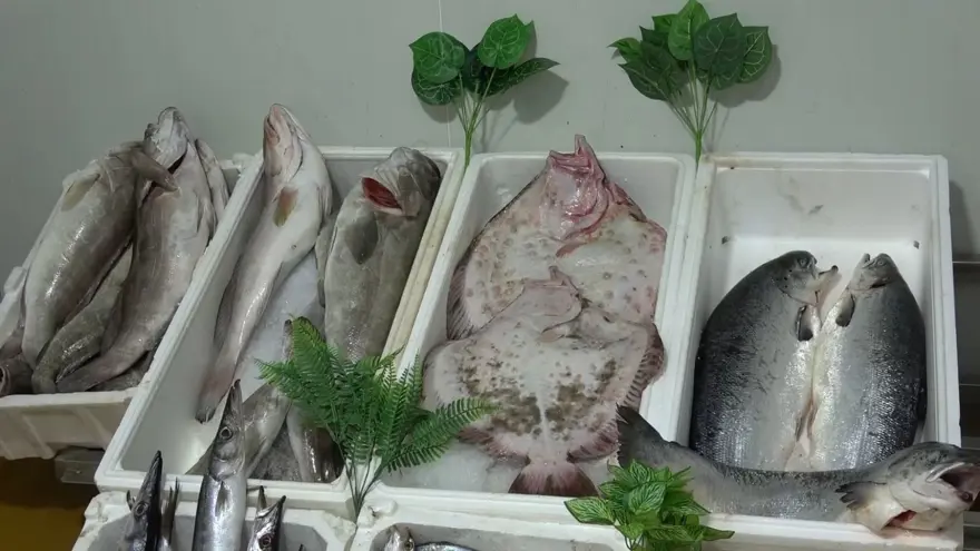 BALIK FİYATLARI 250 LİRADAN BAŞLIYOR 3