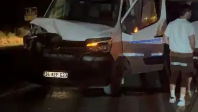 İstanbul'da manda kazası: Üç yaralı