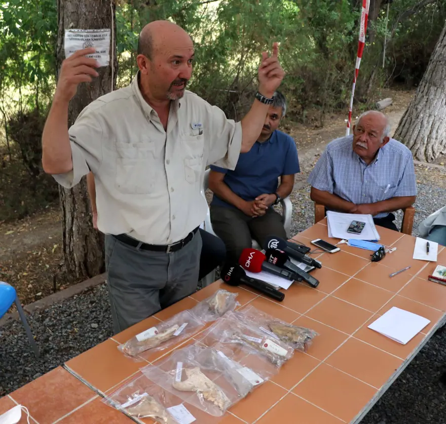 Kayseri'de 4 bin yıl öncesine ait aslan kemiği bulundu 2