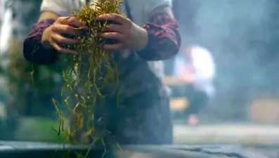 Ayurveda nedir, ne işe yarar ? (Çarşı Pazar Ekonomisi 30 Ocak 2021)