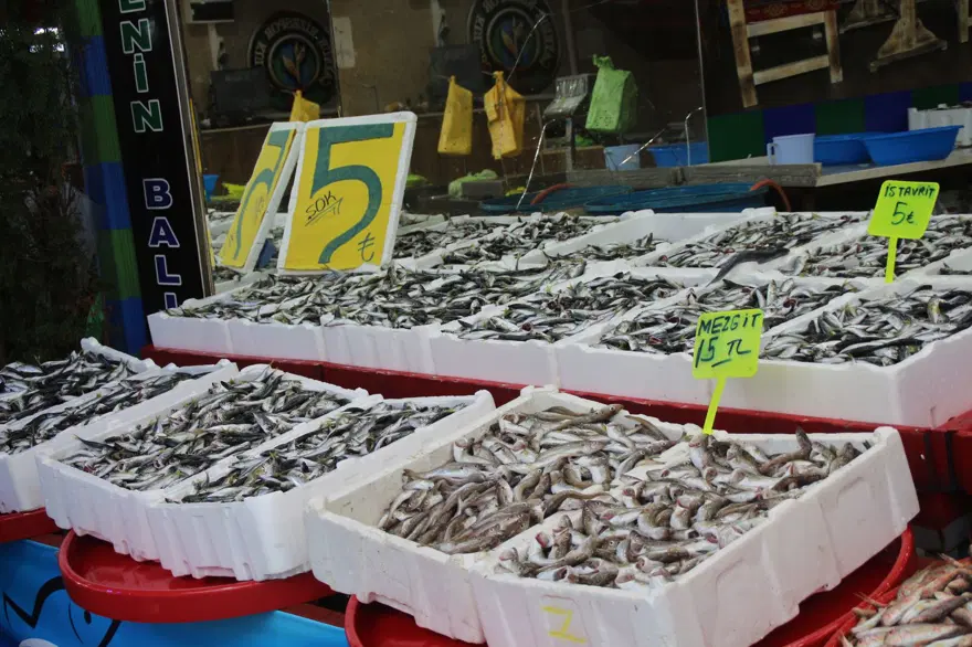 Rize’de kilo fiyatı 5 TL’ye düşen istavrit, kasayla satılıyor 7 Rize’de kilo fiyatı 5 TL’ye düşen istavrit, kasayla satılıyor 7
