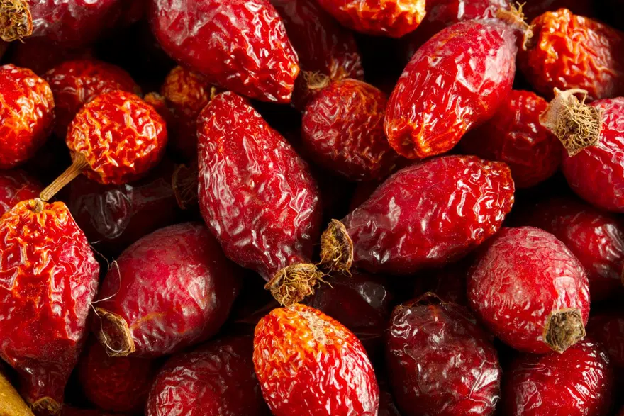 Doğadan tek tek toplanıyor: 100 gramında bir kasa portakala eşdeğer C vitamini var 2 Doğadan tek tek toplanıyor: 100 gramında bir kasa portakala eşdeğer C vitamini var 2