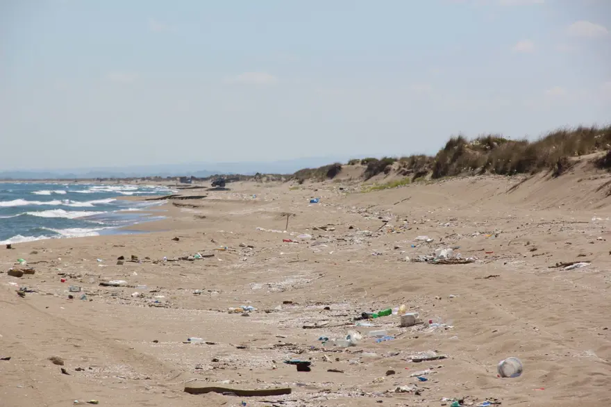 Kaderine terk edildi: 2 kilometrelik kumsal çöple kaplandı 5