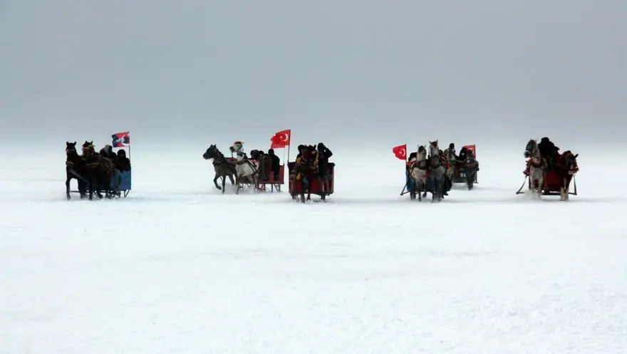 Çıldır Gölü, kuş cennetine döndü 1
