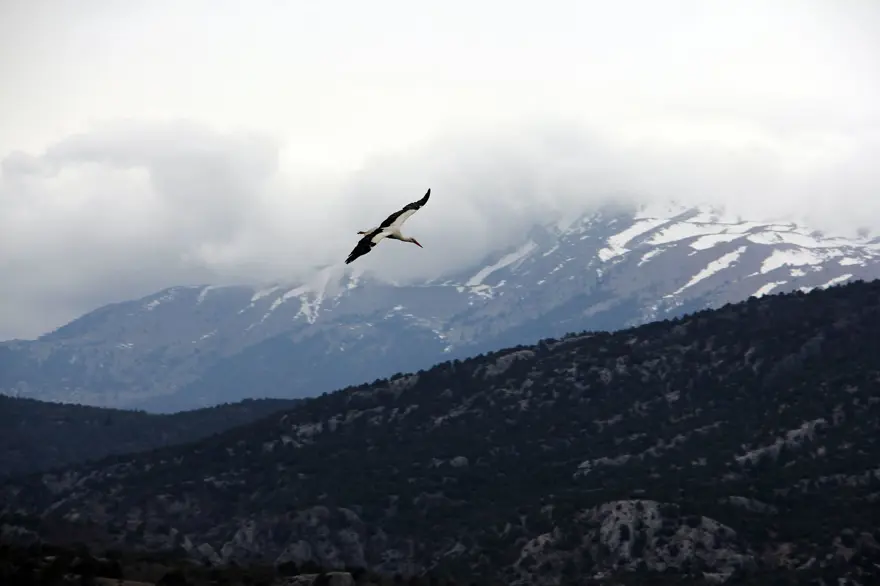 Leyleklere BBG evi 3 Leyleklere BBG evi 3