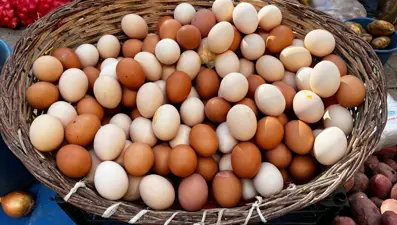 Kahverengi ve beyaz: Yumurtalar arasında fark var mı?