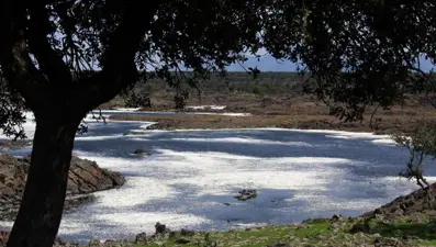 Hatay'da volkanik Haydarlar Gölü'nde ilkbahar güzelliği