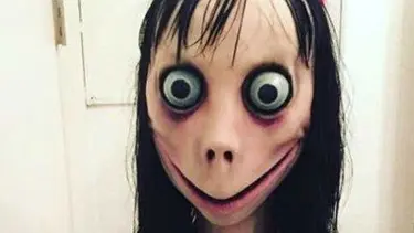 MEB'den 842 bin öğretmen ve 7 milyon öğrenciye 'Momo' ve 'Mavi Balina' eğitimi