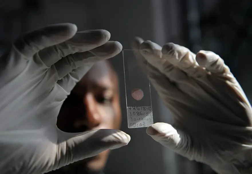 DSÖ’den sıtmauyarısı: 2019’da 229 milyon kişi hastalandı, 409 bin kişi öldü 6 DSÖ’den sıtmauyarısı: 2019’da 229 milyon kişi hastalandı, 409 bin kişi öldü 6